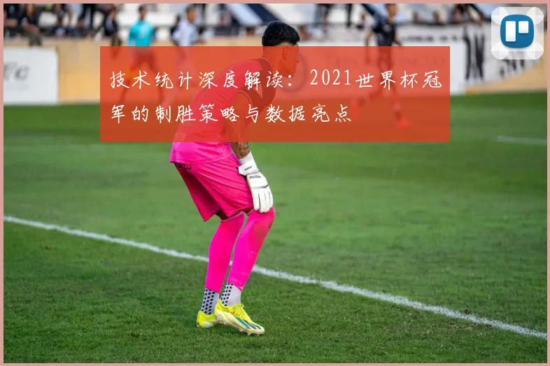 技术统计深度解读：2021世界杯冠军的制胜策略与数据亮点